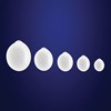 Testi10 - Saline-Filled Testicular Prosthesis